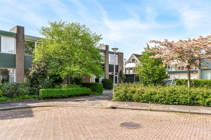 Bekijk foto 49 van Grevinckstraat 11