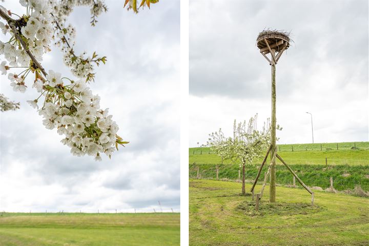 Bekijk foto 35 van Rijnbandijk 247