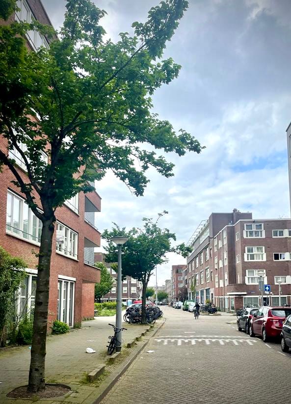 Photo 9 of Balboastraat