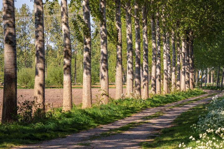 Bekijk foto 59 van Hardveld 19