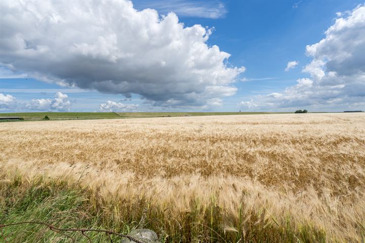 Bekijk foto 15 van Grandyk