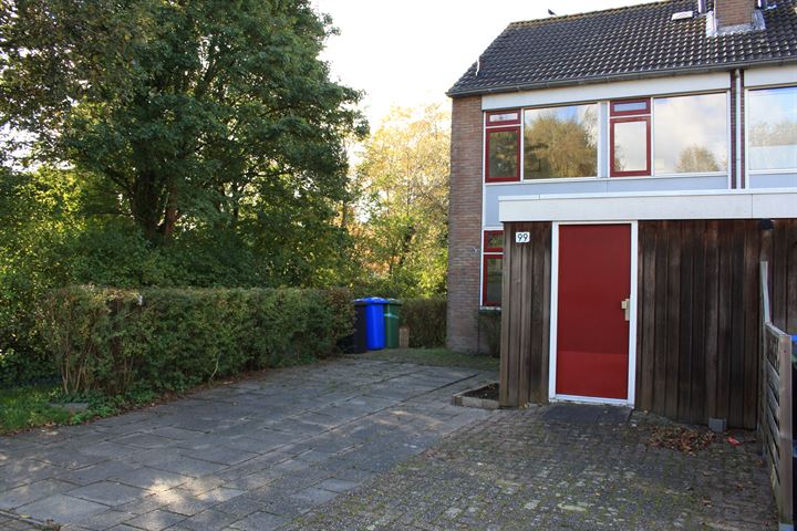 Bekijk foto 3 van Eisenhowerlaan 99