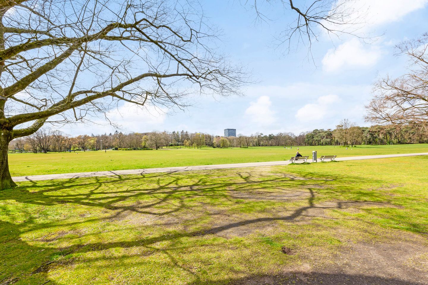 Foto 10 van Tijgerstraat 50