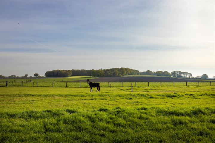 Bekijk foto 54 van Voordesdijk 12