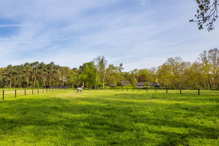 Bekijk foto 42 van Voordesdijk 12