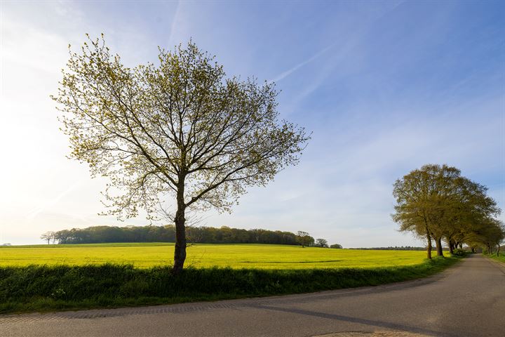 Bekijk foto 53 van Voordesdijk 12