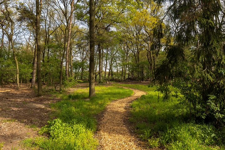 Bekijk foto 47 van Voordesdijk 12