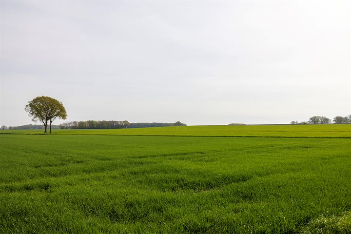 Bekijk foto 55 van Voordesdijk 12