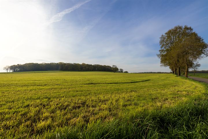 Bekijk foto 57 van Voordesdijk 12