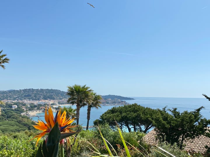 Foto 3 van Côte d'Azur 217