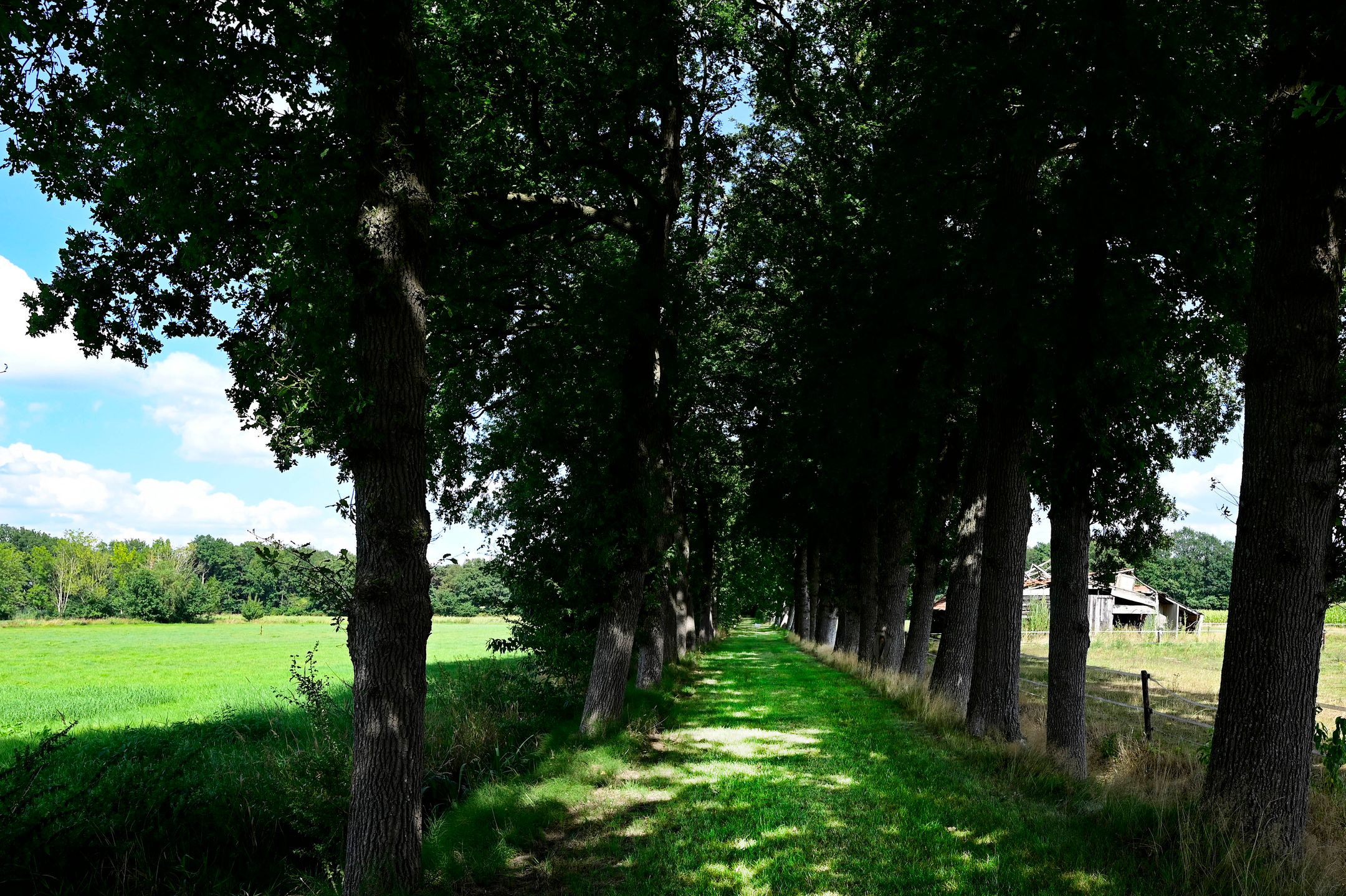 Foto 12 van Kallenbroekerweg 190