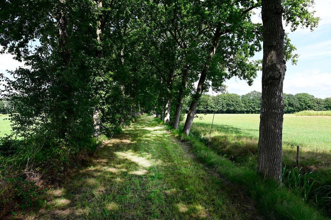 Foto 46 van Kallenbroekerweg 190