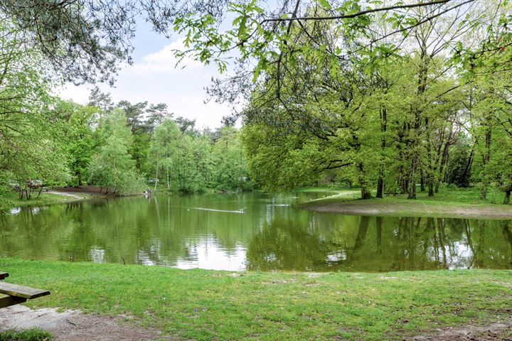 Bekijk foto 42 van Stadhouderslaan 14