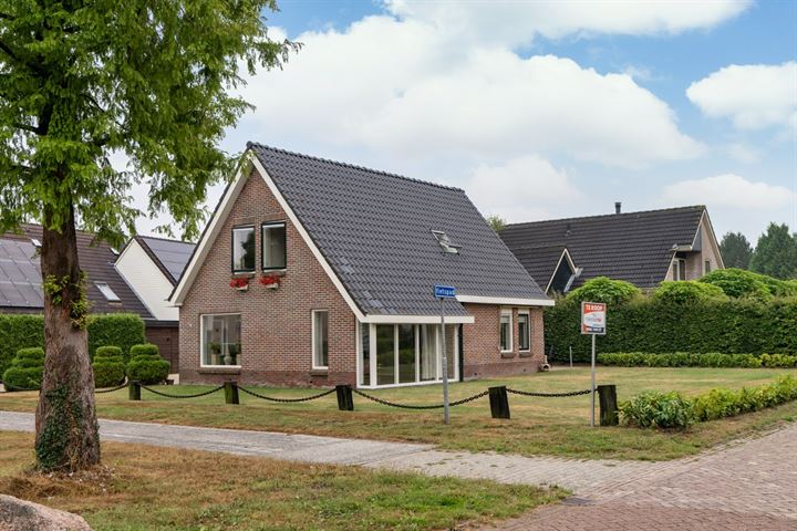 Bekijk foto van Pallert 4