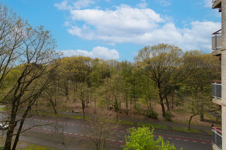 Photo 34 of Professor Cobbenhagenlaan 740