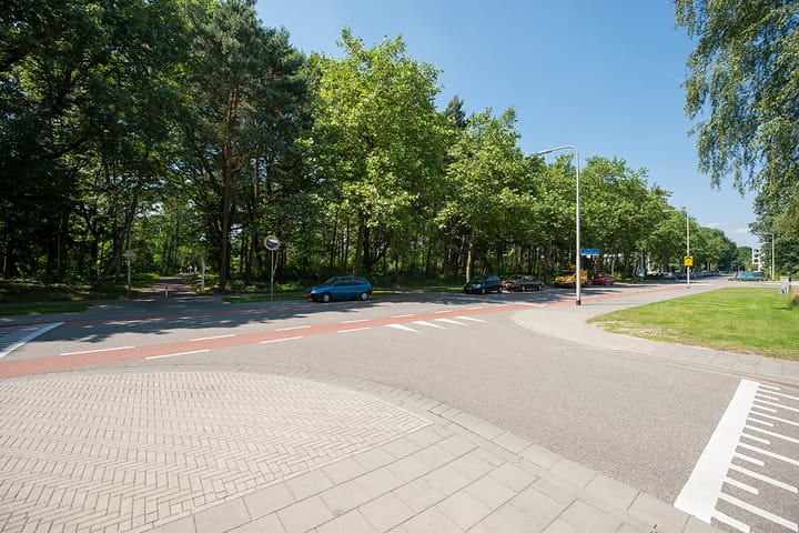 Photo 33 of Professor Cobbenhagenlaan 740