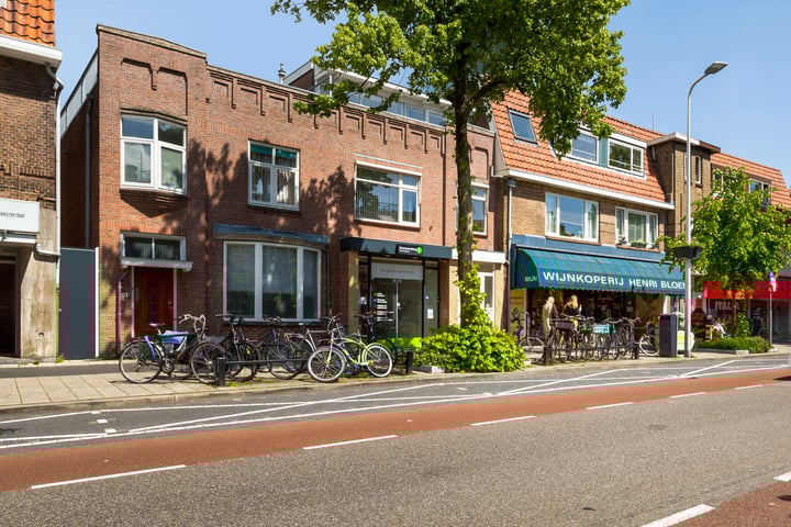 Adriaen van Ostadelaan 10, Utrecht
