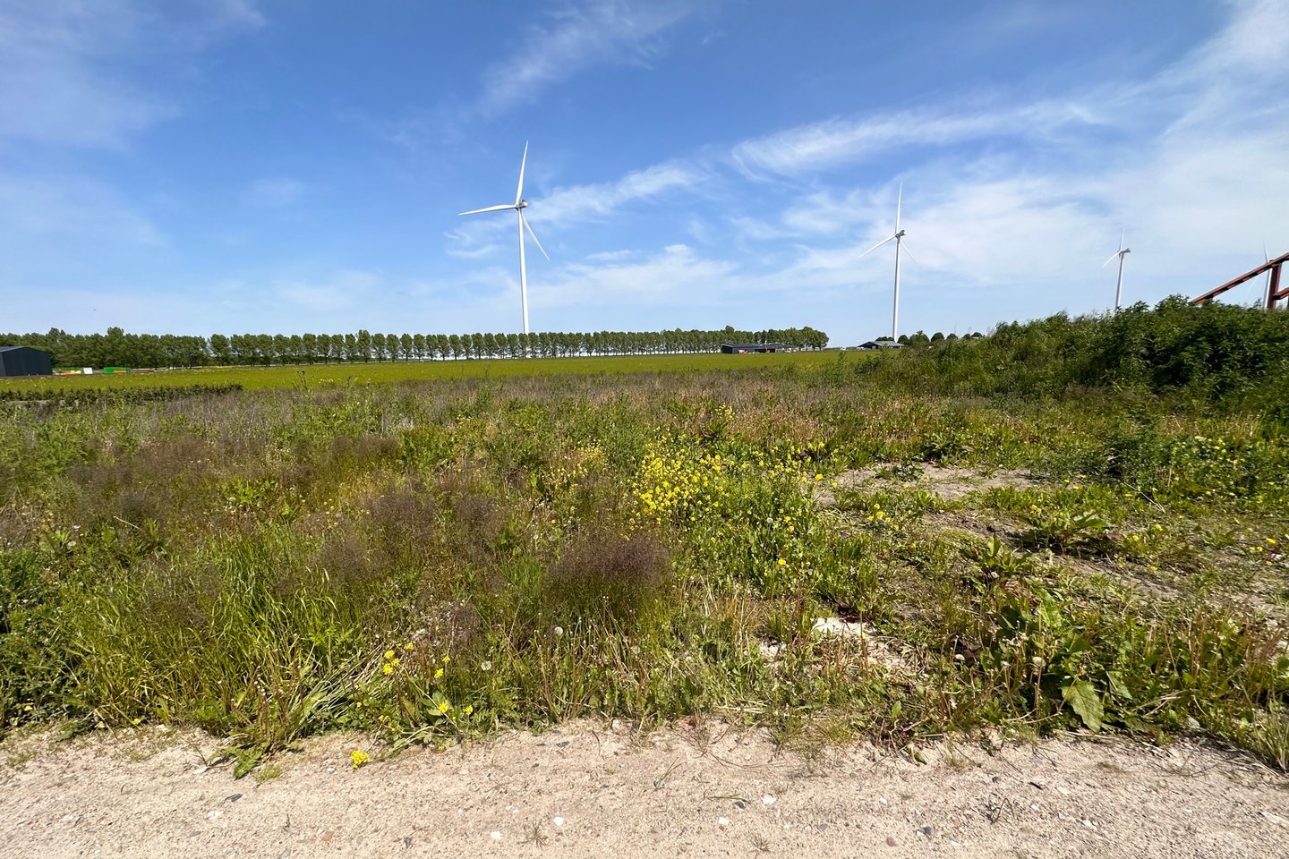 Bekijk foto 2 van Rosa Parksweg 66 b
