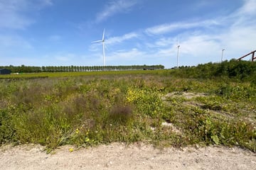 Bekijk foto's