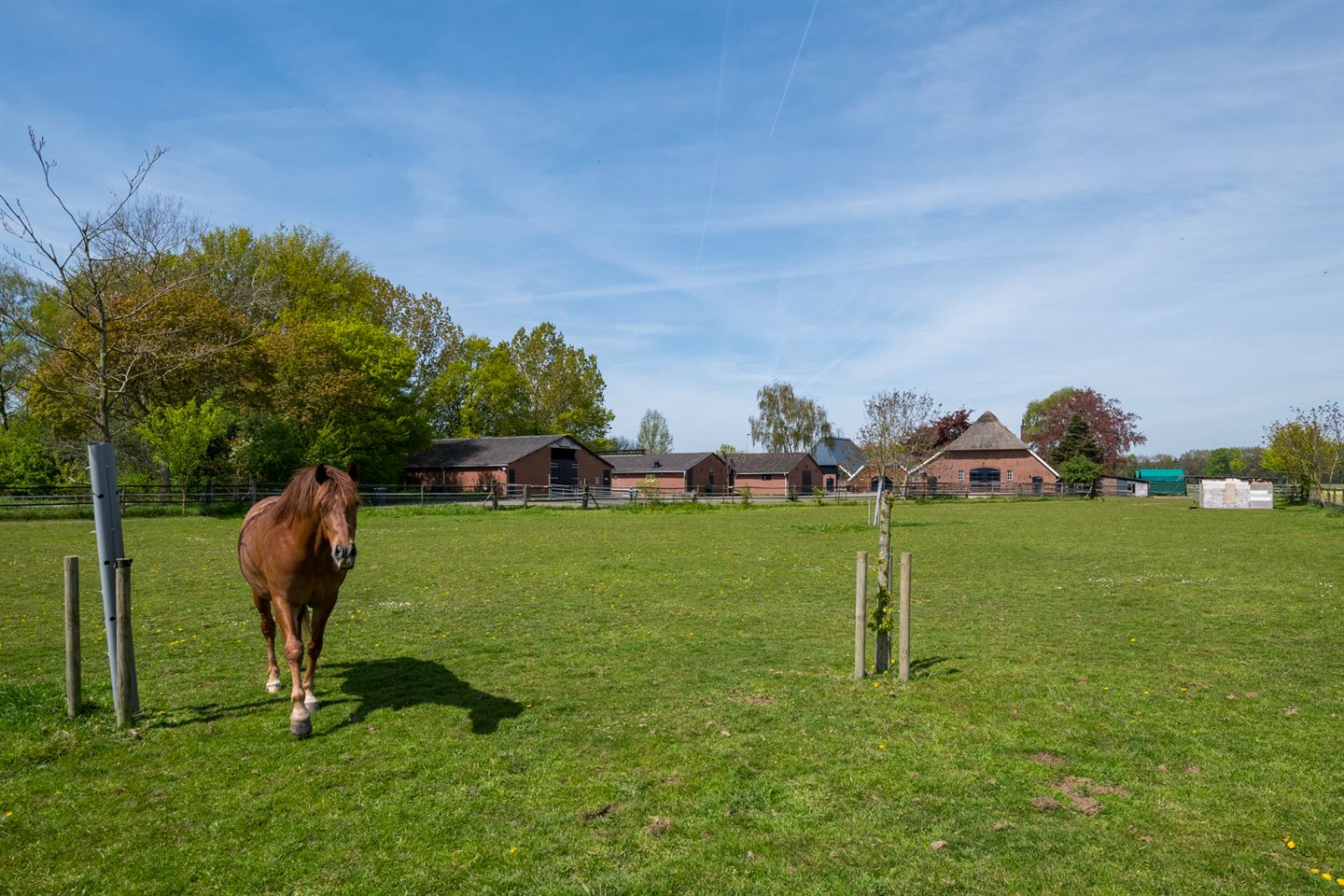 Bekijk foto 5 van Heebinkweg 5