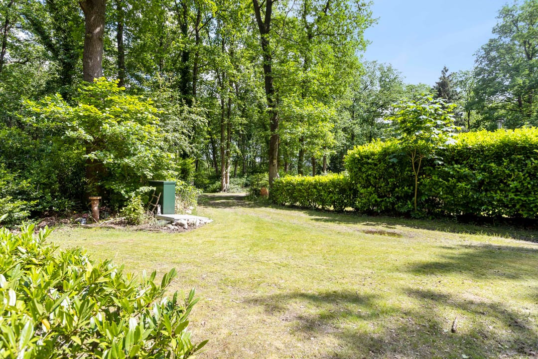Foto 17 van Langeloërduinen 3 31