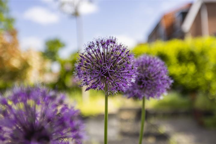 Bekijk foto 46 van Burgemeester Jaslaan 1