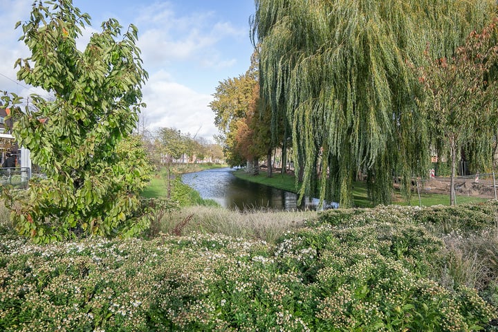 Bekijk foto 33 van Boergoensevliet 125