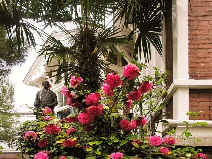 Photo 12 of Zandpad 2-C