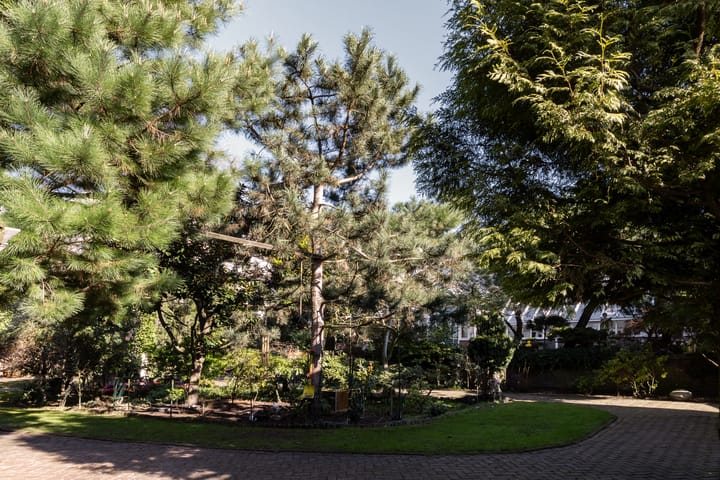 Photo 13 of Zandpad 2-C