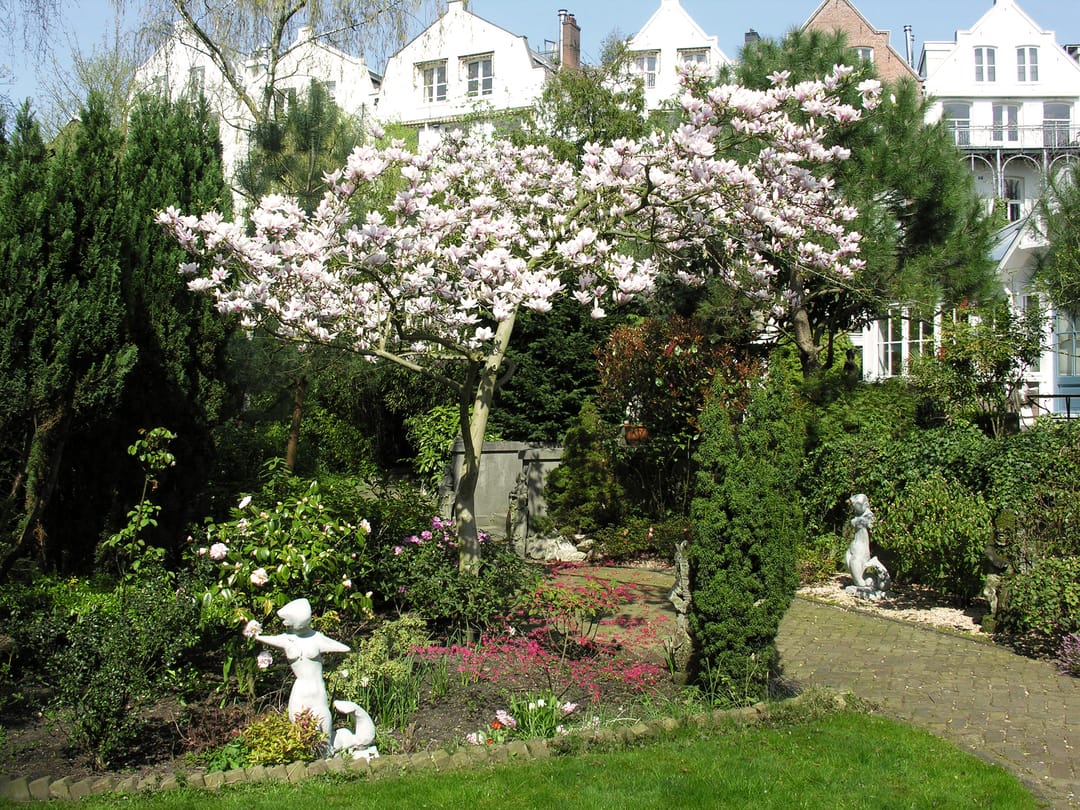 Foto 16 van Zandpad 2-C