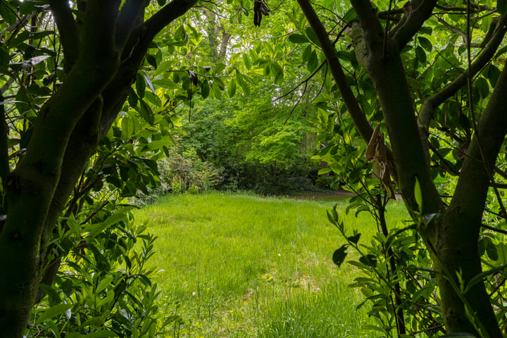 Bekijk foto 46 van Hemelrijkstraat 1