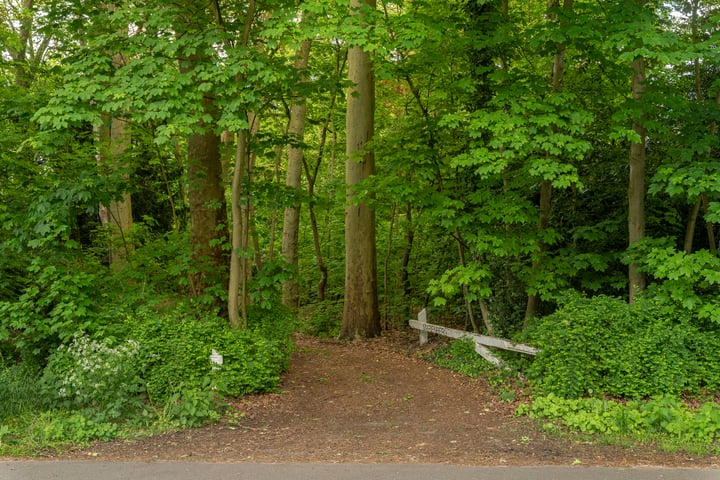 Bekijk foto 56 van Hemelrijkstraat 1