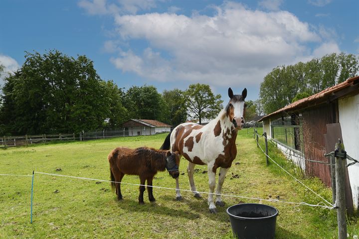 Bekijk foto 37 van Kleine Laak 3