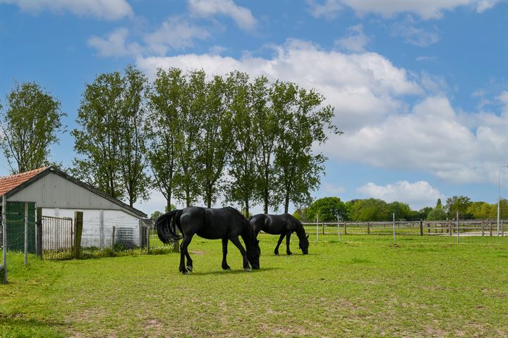 Bekijk foto 41 van Kleine Laak 3