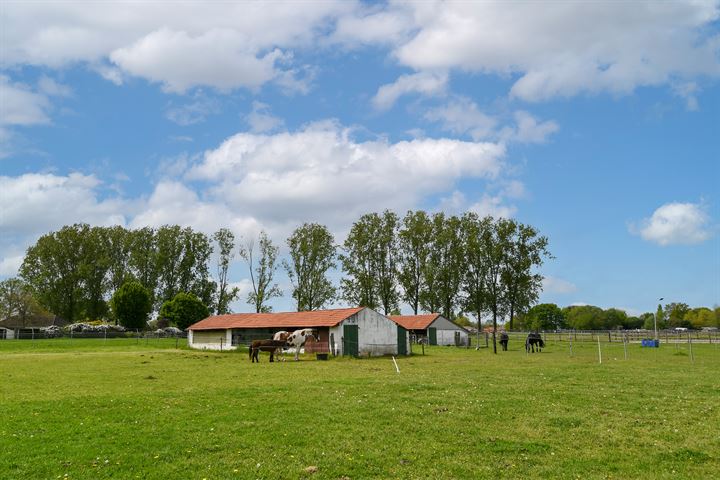 Bekijk foto 36 van Kleine Laak 3