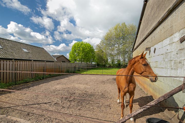 Bekijk foto 45 van Olen 1