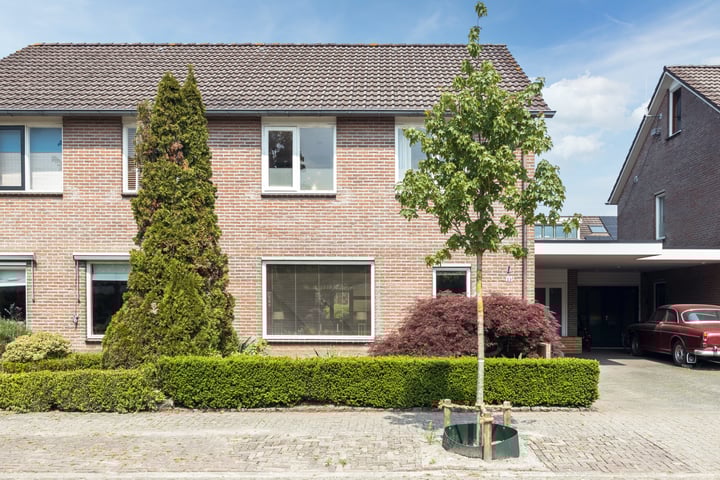 Zevenblad 23