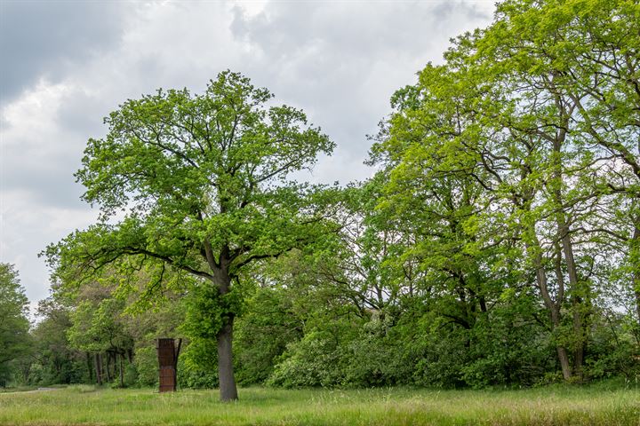 View photo 9 of Markeloseweg 80-1