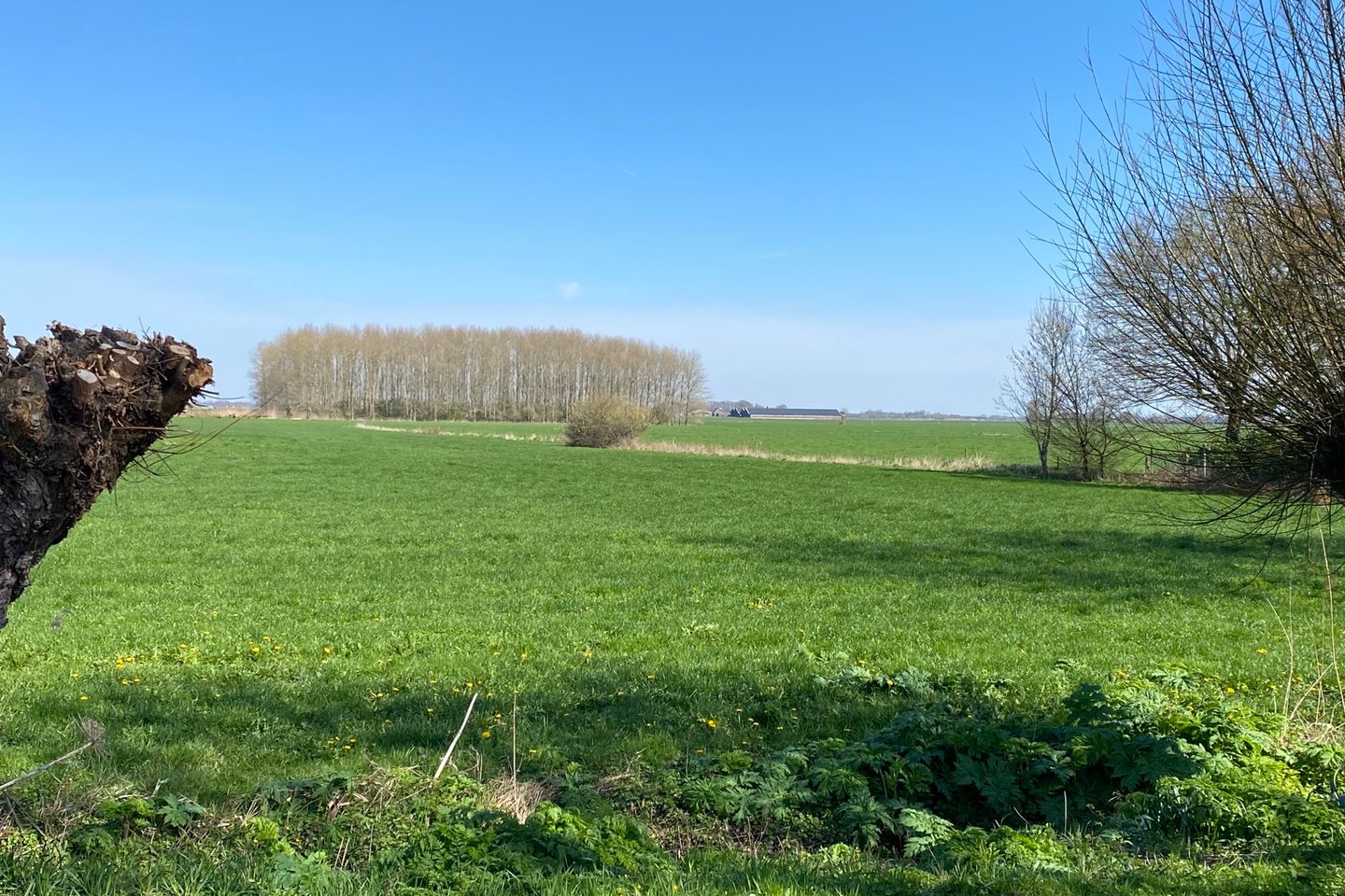 Bekijk foto 1 van Leeuwkesgraaf 8