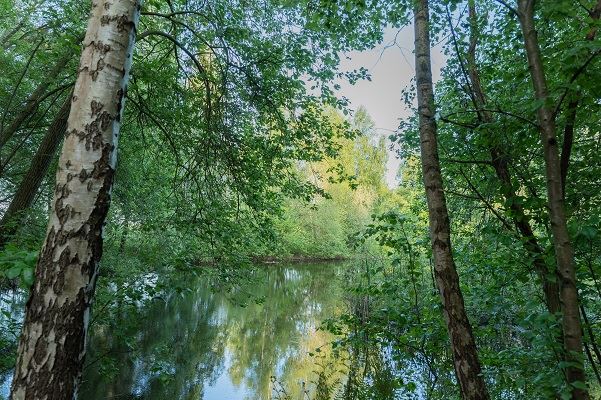 Bekijk foto 5 van Voorbeetseweg 2