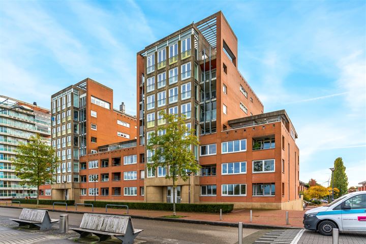 Bekijk foto 43 van Maasboulevard 287