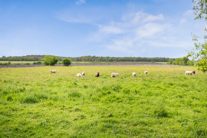 Bekijk foto 49 van Kolonievaart 4