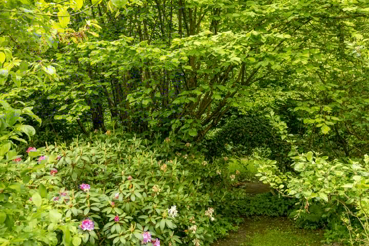 Foto 38 van C.G.Wiegersweg 17