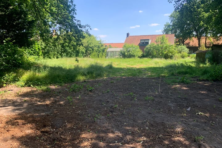 Pinksterbloemlaan