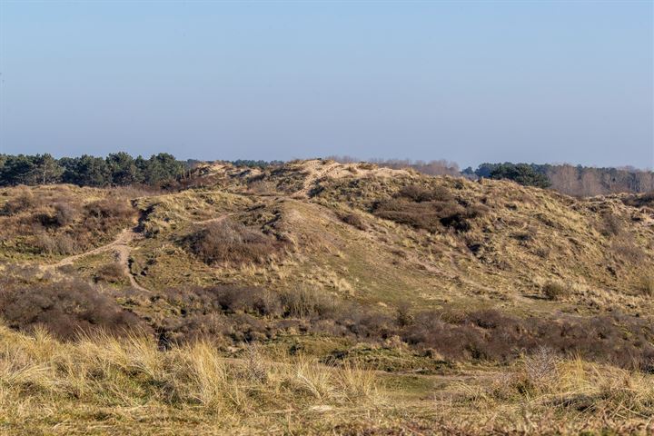 Bekijk foto 35 van van Lennepweg 2