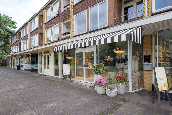 Buys Ballotlaan 11, Soesterberg