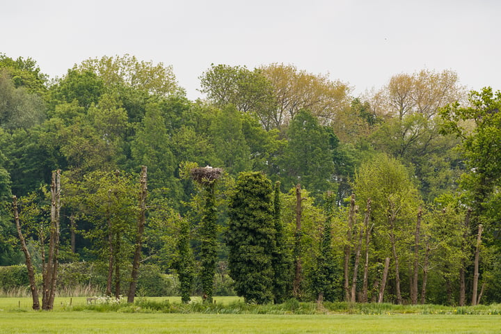 Bekijk foto 32 van de Joncheerelaan 17