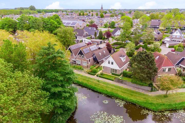 Scholekster 13