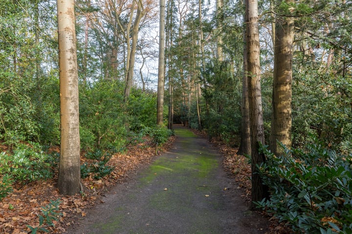 Bekijk foto 43 van Bredaseweg 484