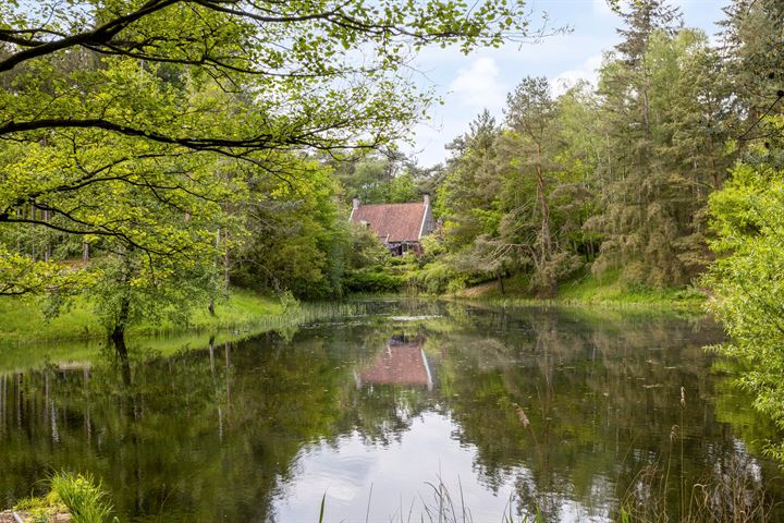 Bekijk foto 6 van Wildenborchseweg 8